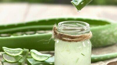 5 beneficios del aloe vera para la piel y el cuerpo